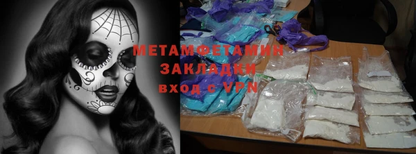 прущие грибы Сафоново