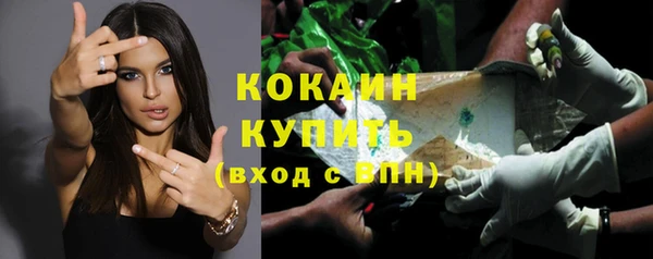 прущие грибы Сафоново