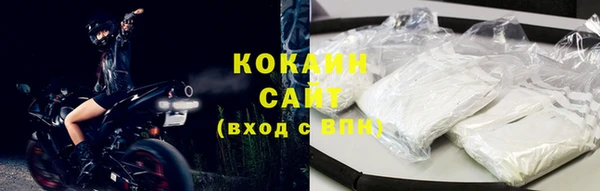 прущие грибы Сафоново