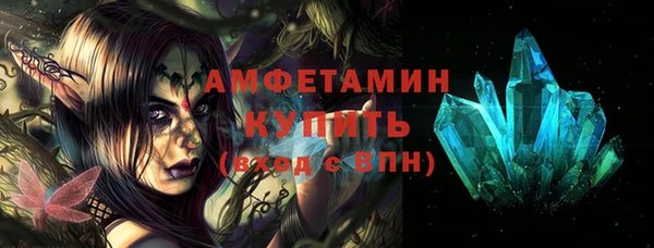 прущие грибы Сафоново